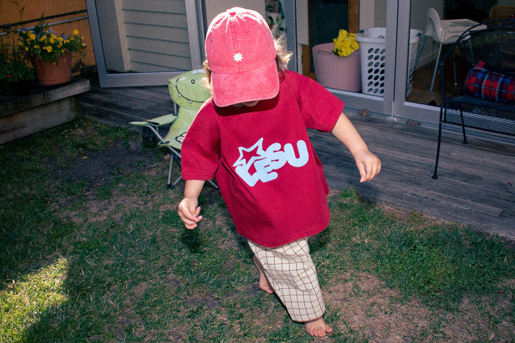 Lesu