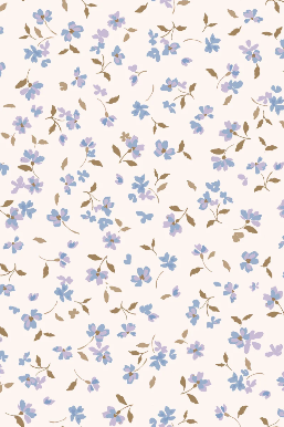 Darcy Dress | Indigo Bloom Print
