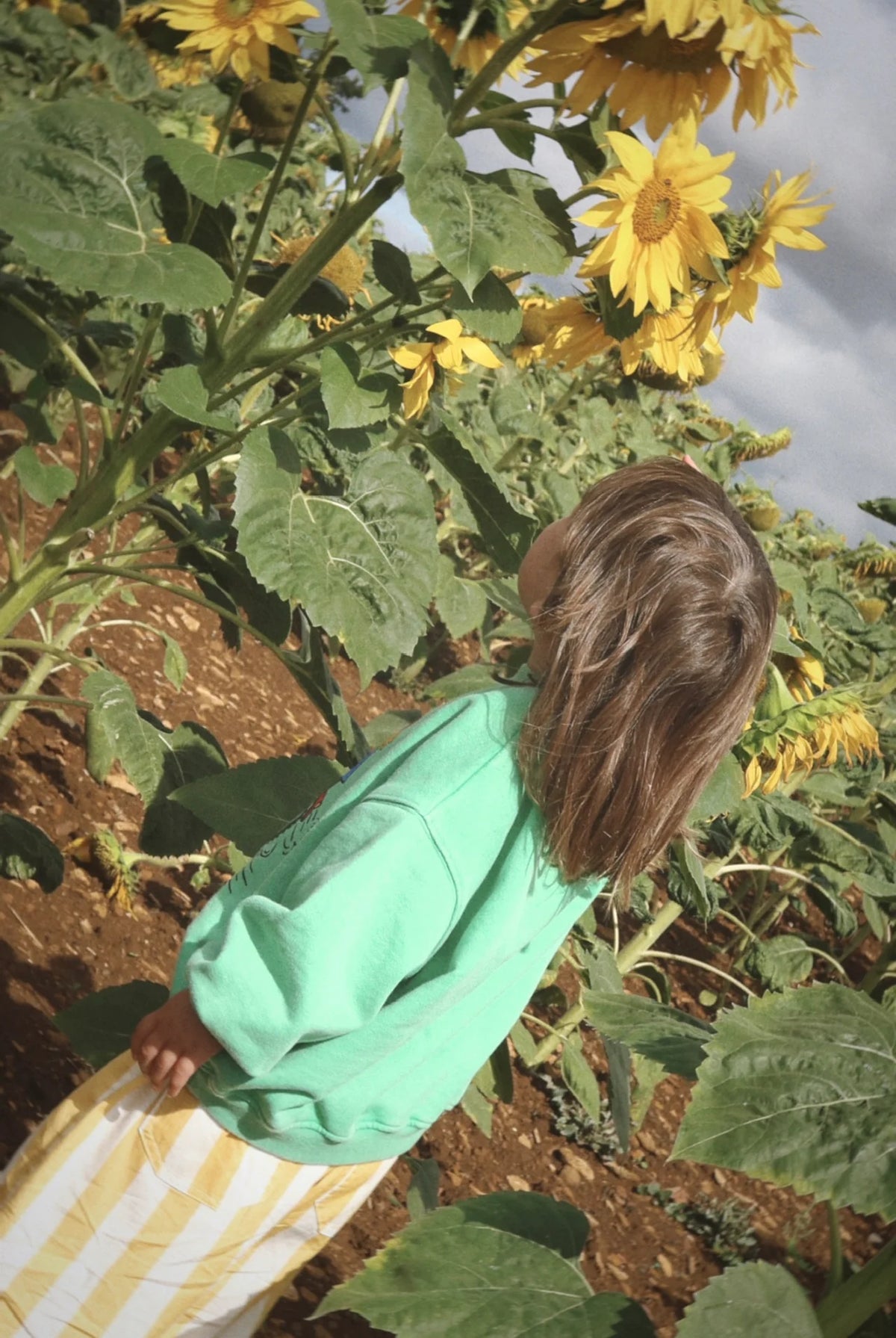 The Mani Pullover | Mam Motors