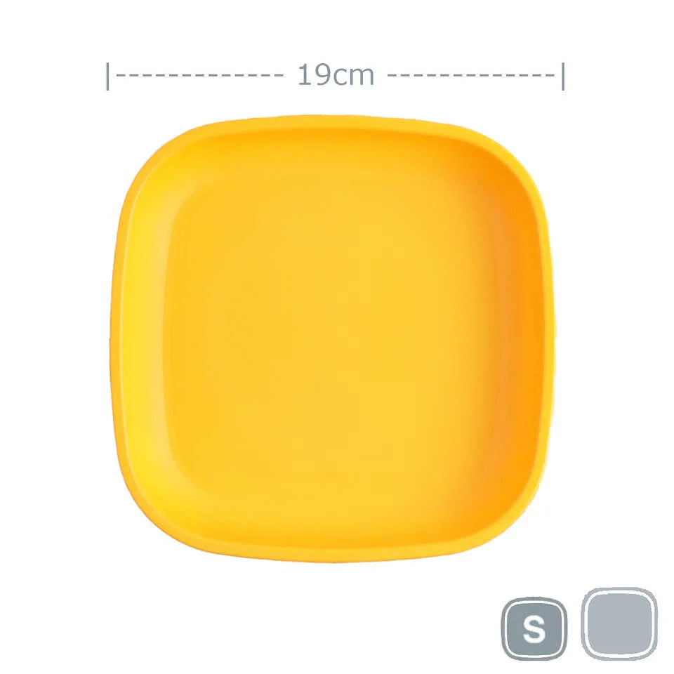 Small Flat Plate