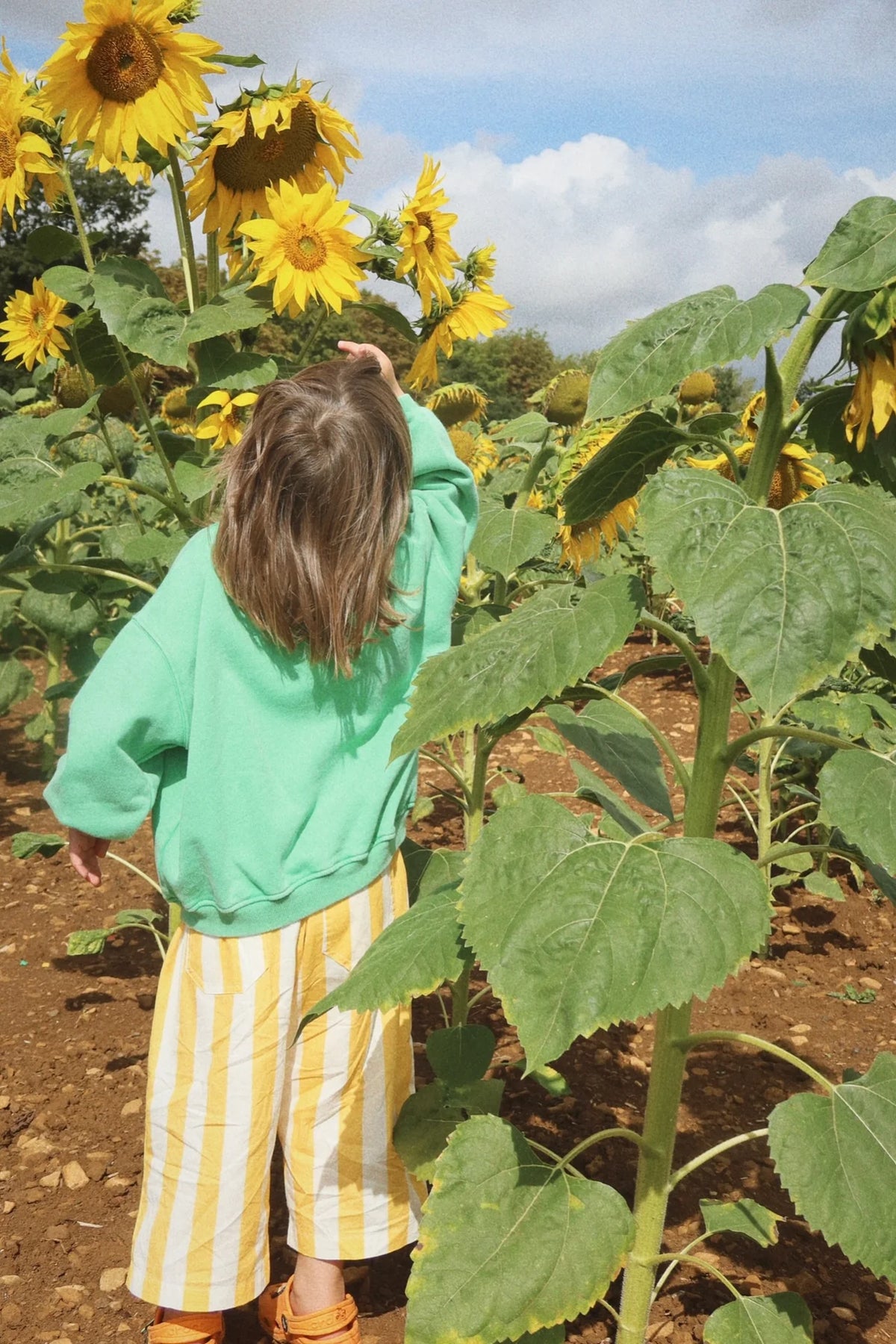 The Humbug Pants | stripes