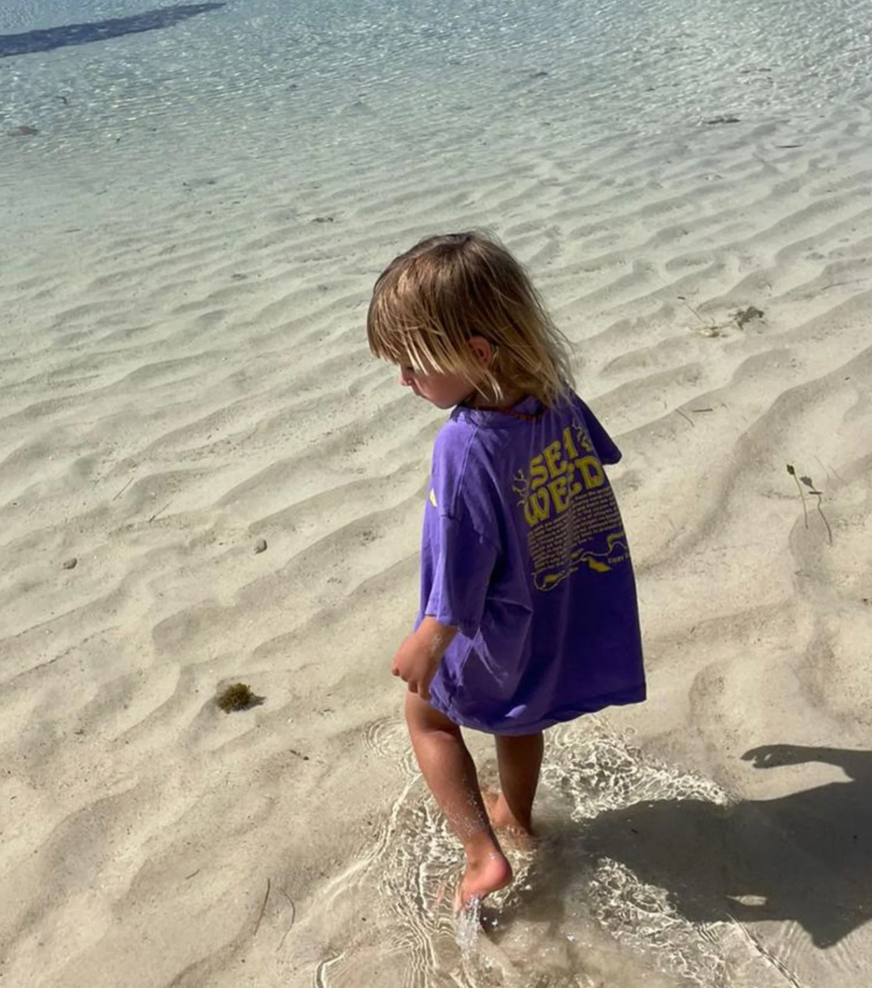 Seaweed tee | violet