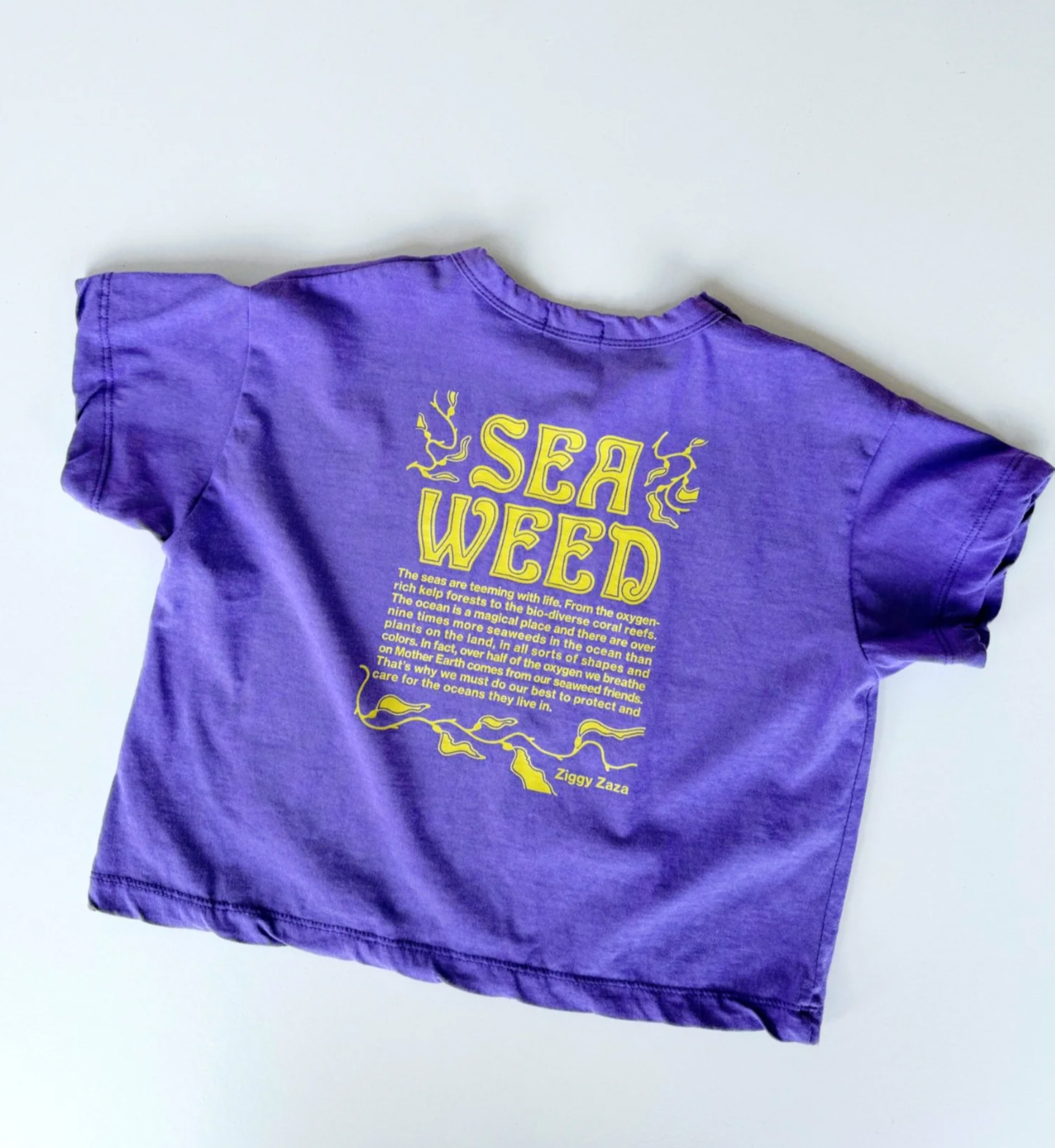 Seaweed tee | violet