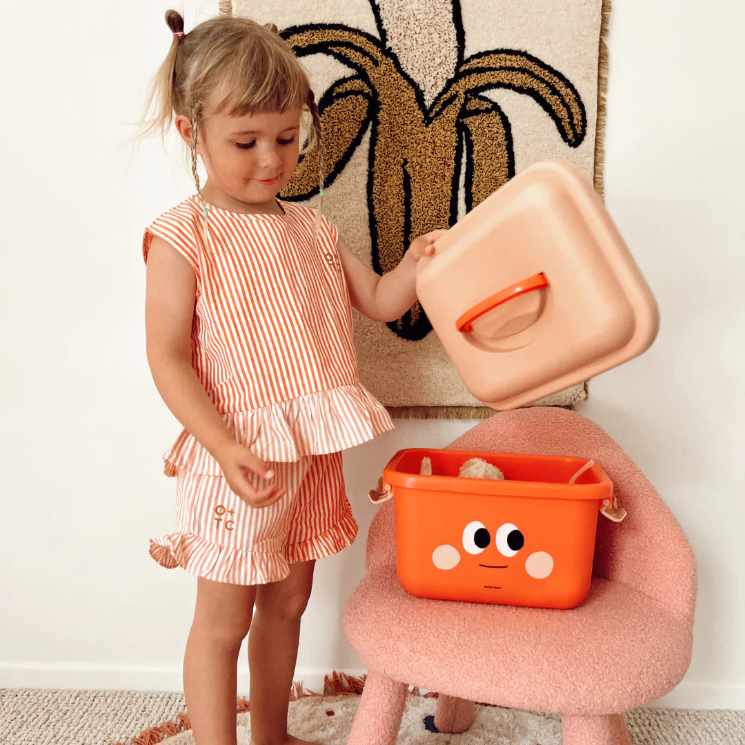 scoot and store desk caddy - Sunny (red and peach)