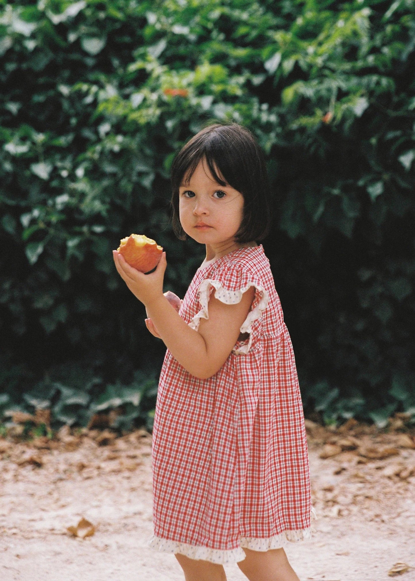 Daisy Dress | red check