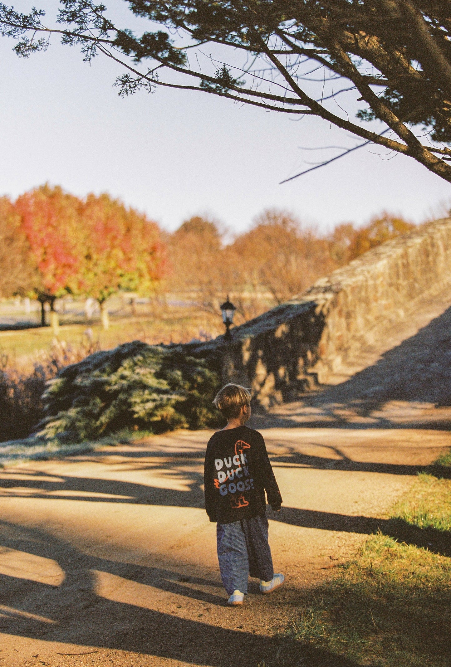 Duck Duck Goose tee