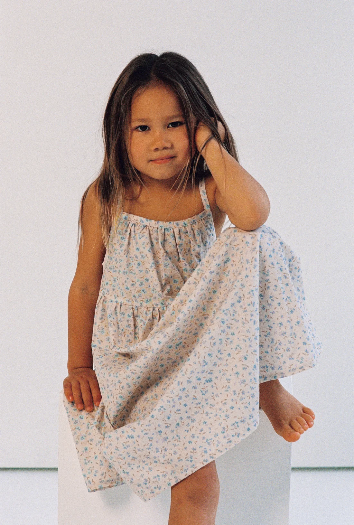 Darcy Dress | Indigo Bloom Print