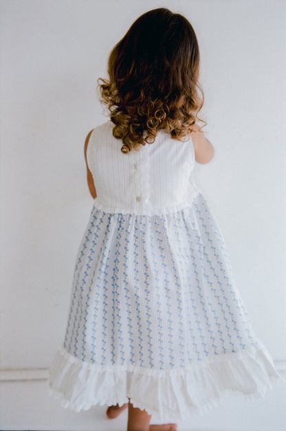 Lola Dress | bluebell