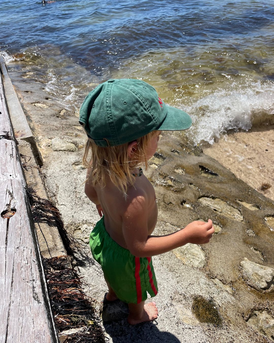 Twin stripe swim short | watermelon