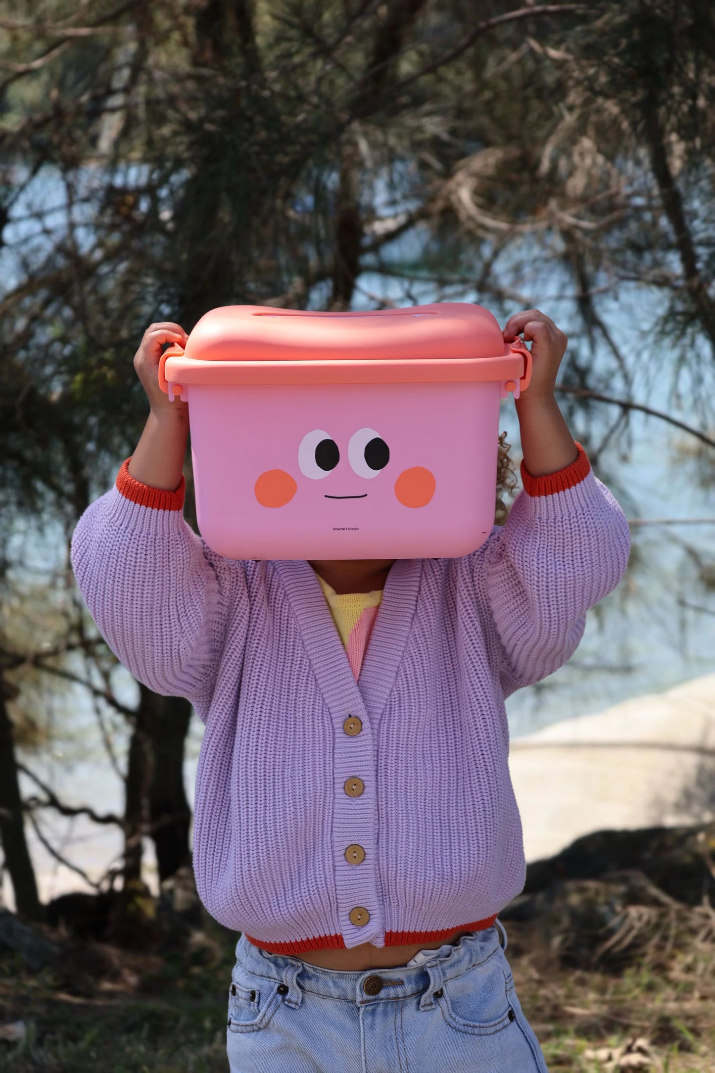 scoot and store desk caddy - Sammy (pink and coral)