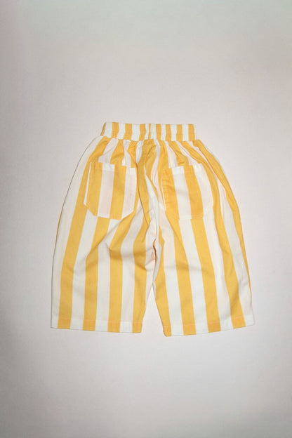 The Humbug Pants | stripes