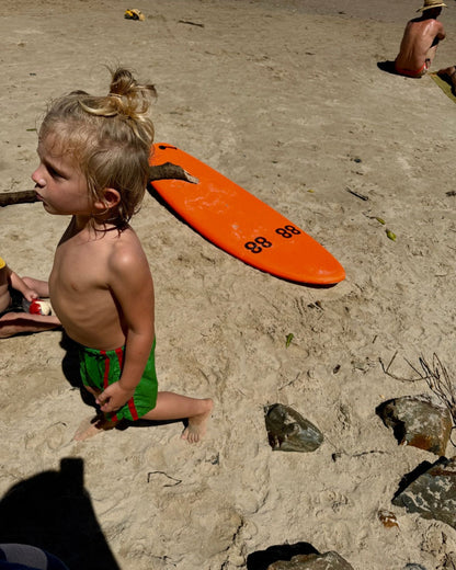 Twin stripe swim short | watermelon