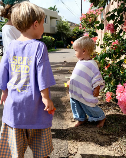 Toro pullover | lilac