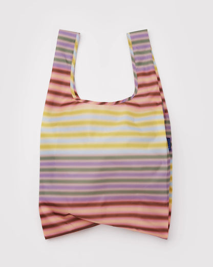 Standard Baggu | gradient stripe multi