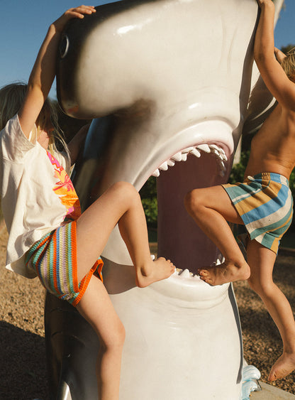 Beach shack knit shorts