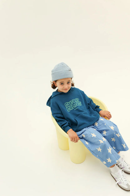 Park Party Hoodie | Navy