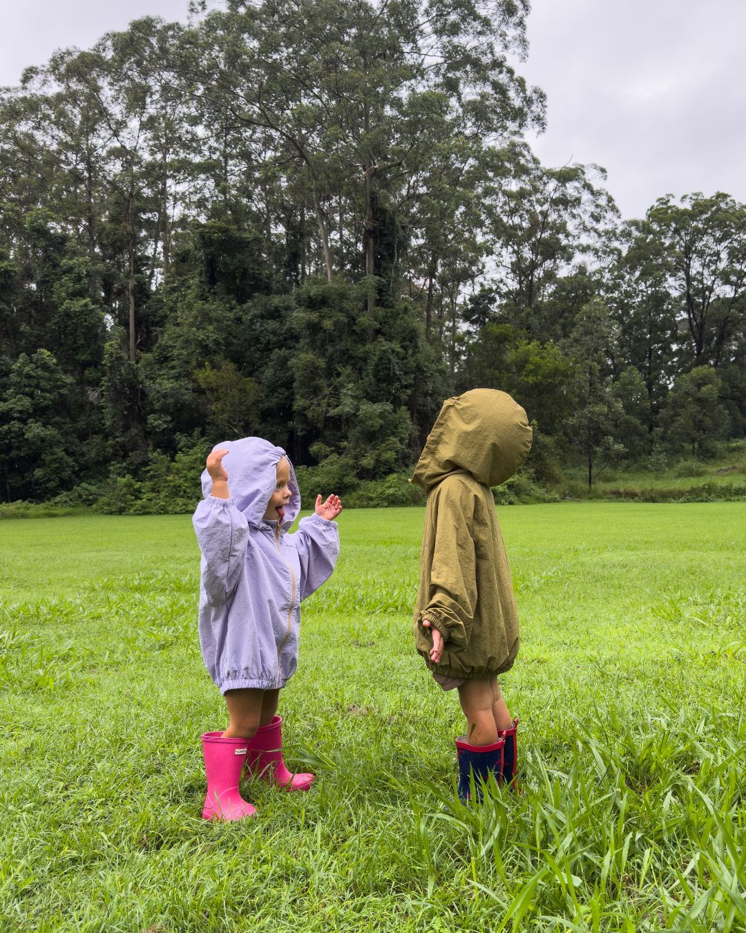 Kaze windbreaker | lilac – Goldies Store Melbourne