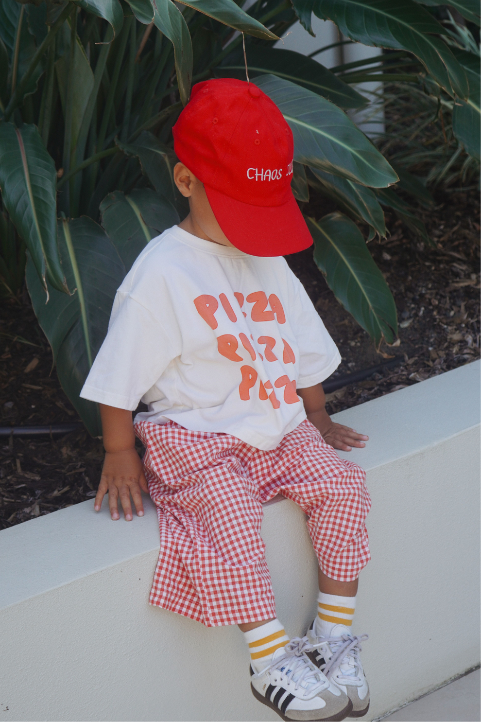 All day pant | Chilli