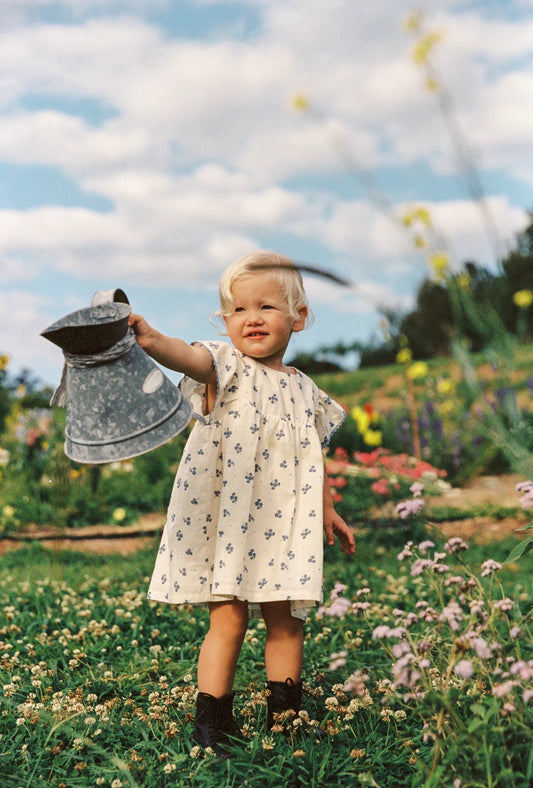 Daisy Dress | Ditsy