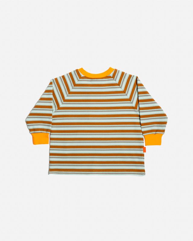 Long Sleeve T-Shirt | Green & Brown Stripes