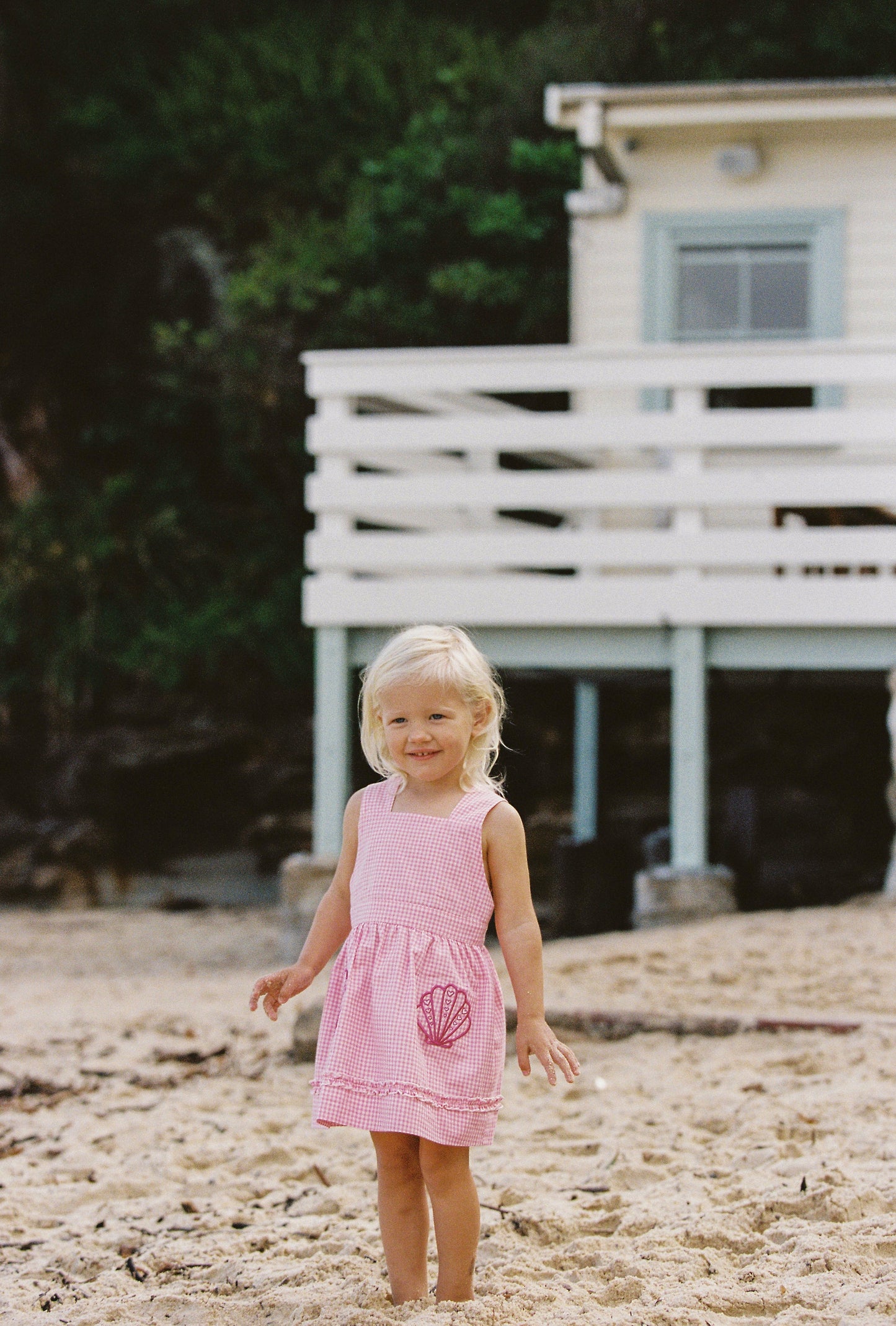 Coco Dress | strawberry gingham