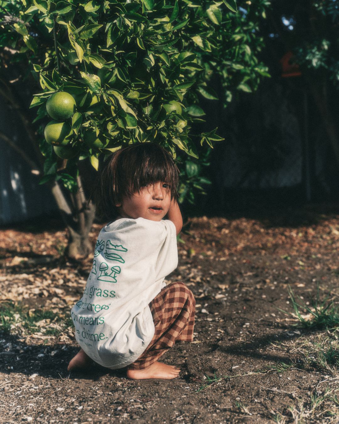 neko gingham short | spice