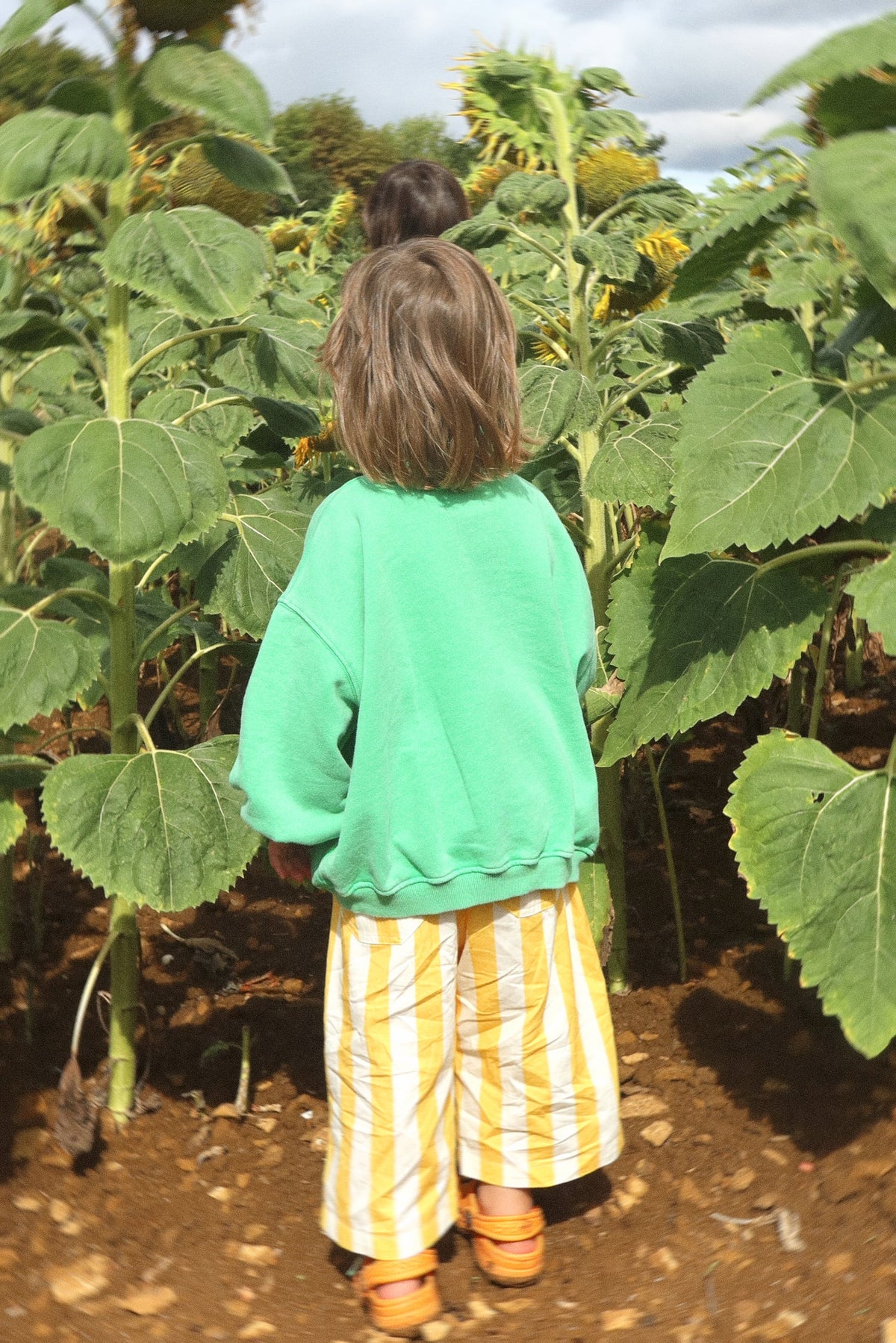 The Humbug Pants | stripes