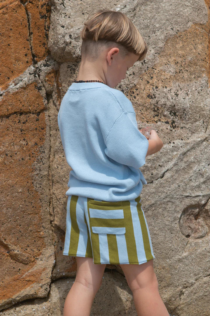 Organic Vertical Stripe Knit Shorts - Ocean & Leaf
