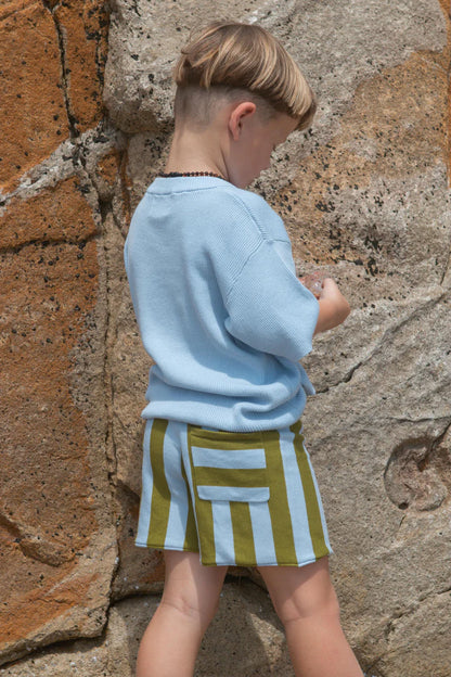 Organic Vertical Stripe Knit Shorts - Ocean & Leaf
