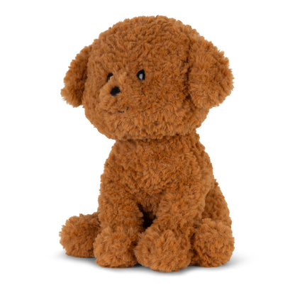 Stacy the Labradoodle in giftbox - 18 cm