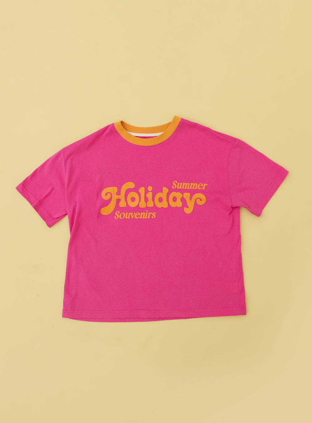 Summer holidays souvenirs t-shirt