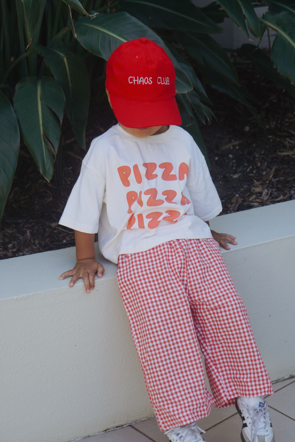 All day pant | Chilli