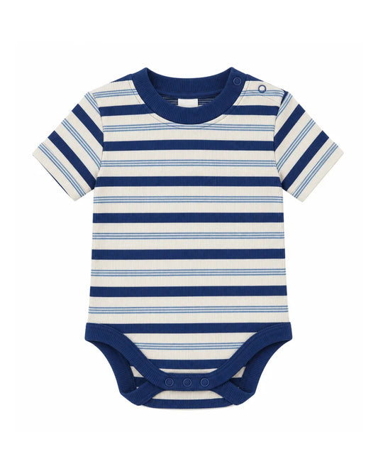 Short Sleeve Baby Body | Triple Blue Stripe