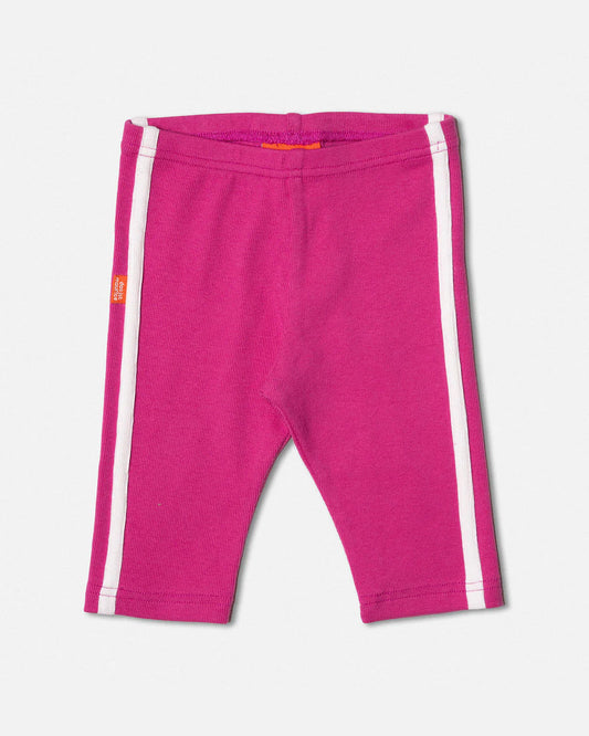 3/4 knickerbockers | magenta