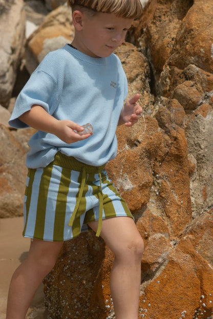 Organic Vertical Stripe Knit Shorts - Ocean & Leaf