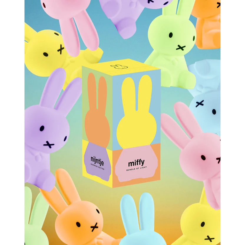 Mr. Maria Miffy Colourful Surprise Night Light Blind Box