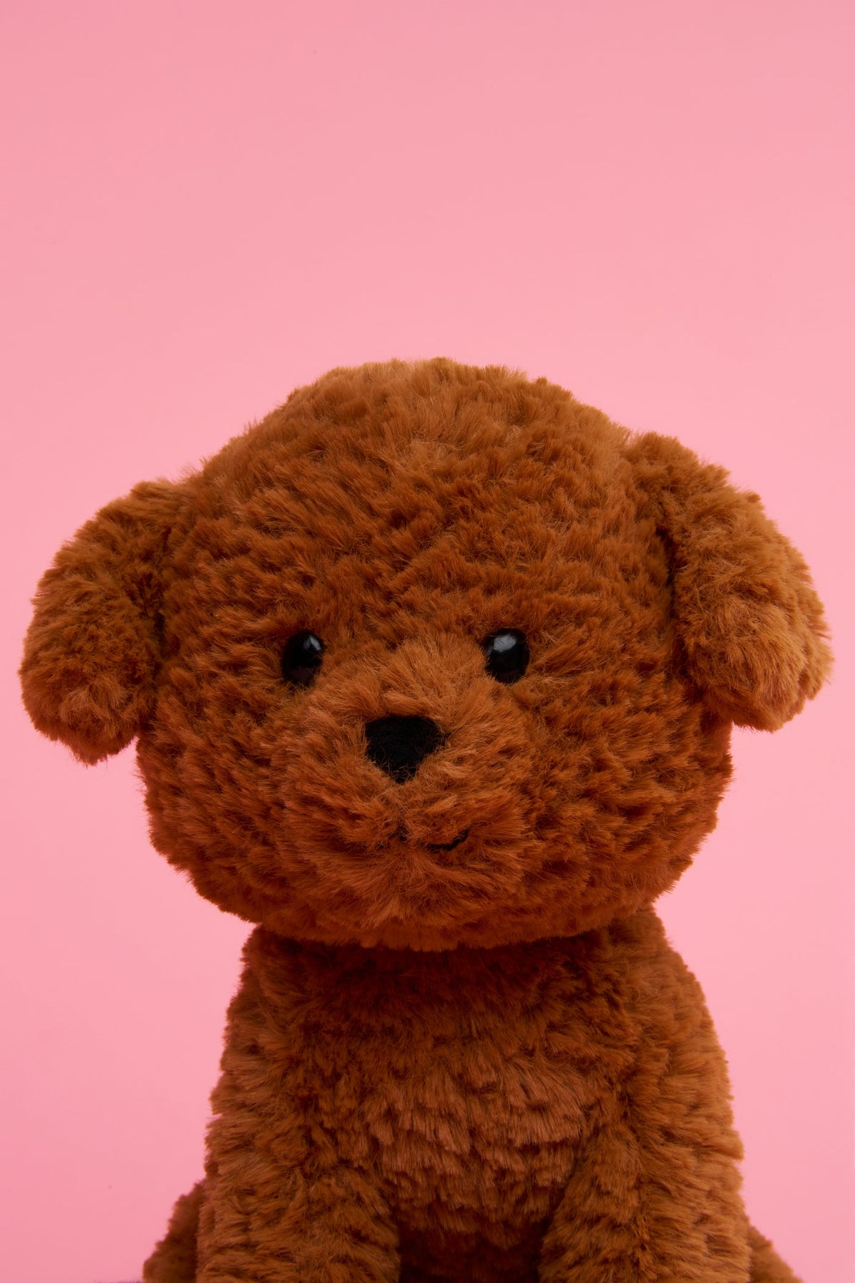 Stacy the Labradoodle in giftbox - 18 cm