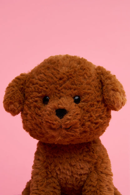 Stacy the Labradoodle in giftbox - 18 cm
