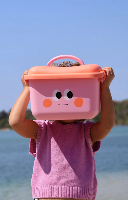 scoot and store desk caddy - Sammy (pink and coral)