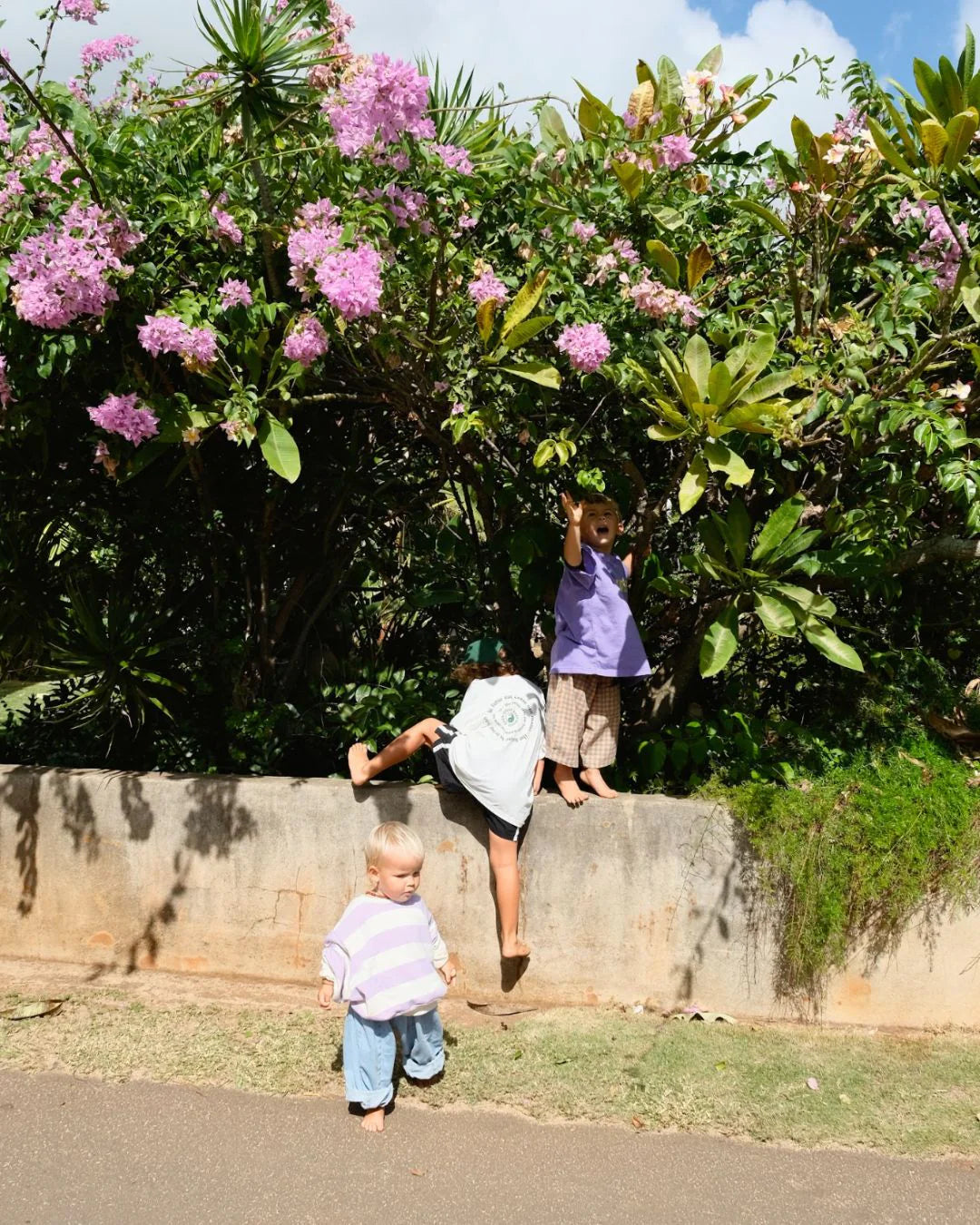 Toro pullover | lilac