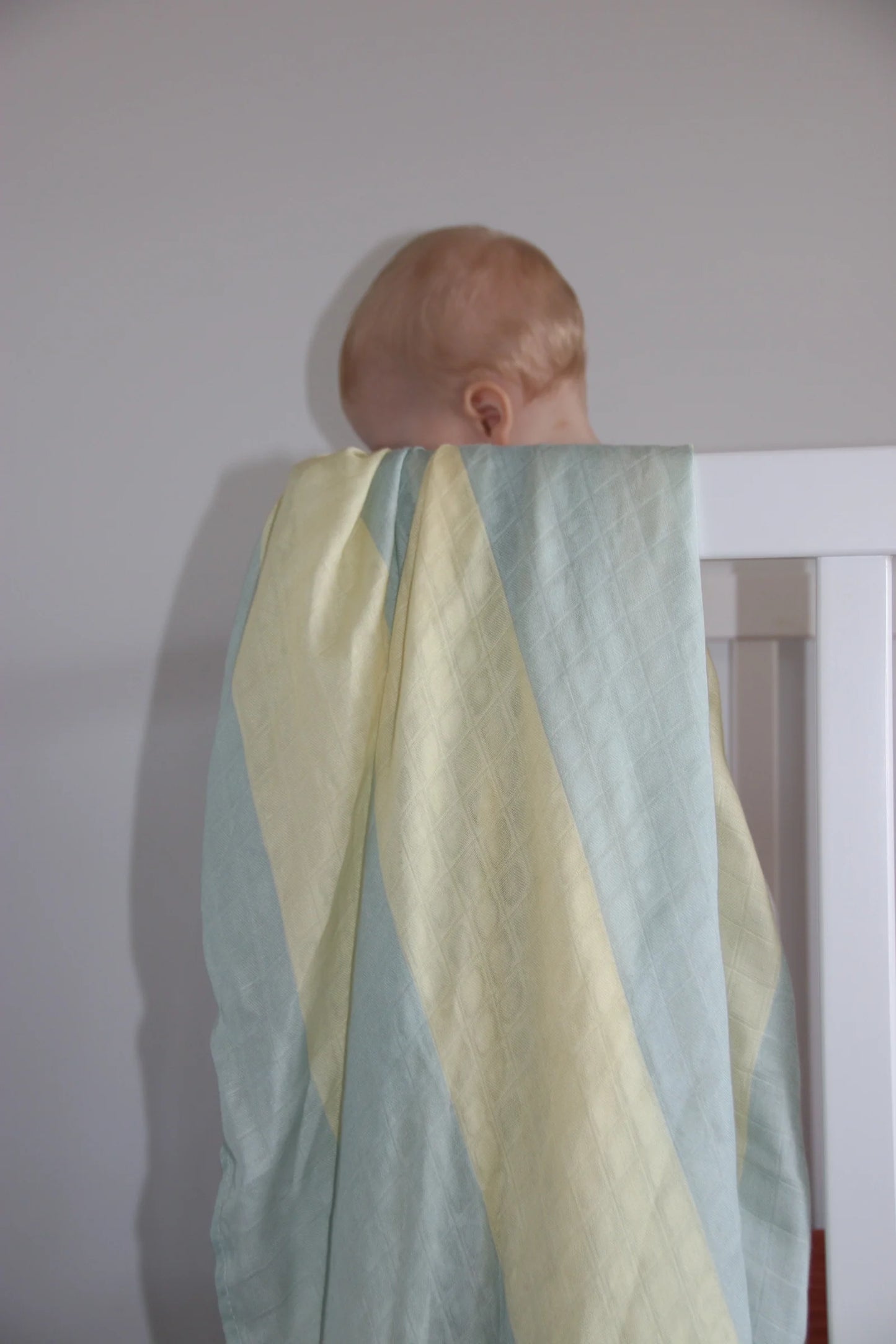 Lemon Fizz | swaddle