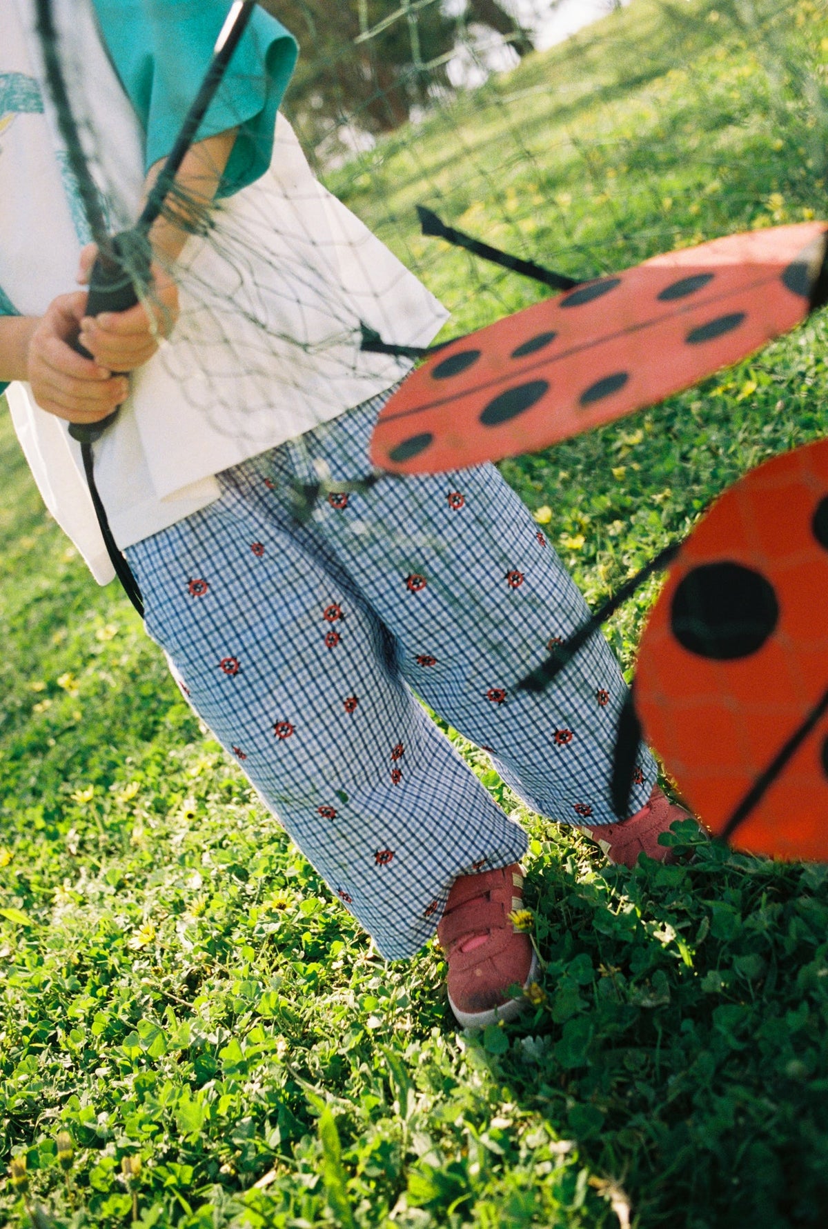 The Ladybug Pants