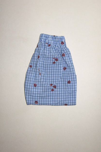 The Ladybug Pants