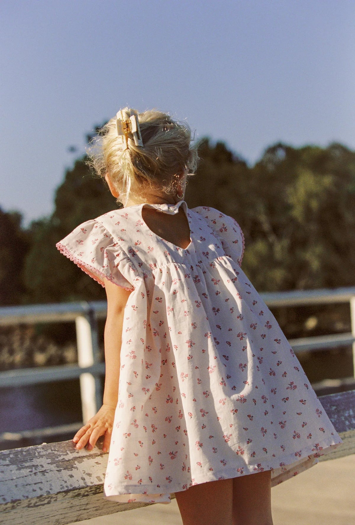 Daisy Dress | Blossom