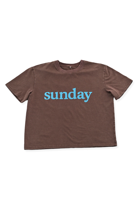 Sunday Tee | Brown & Blue