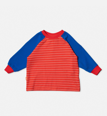 Raglan long sleeve t-shirt