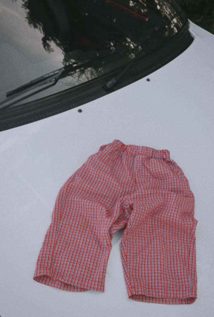 play pant | tutti frutti