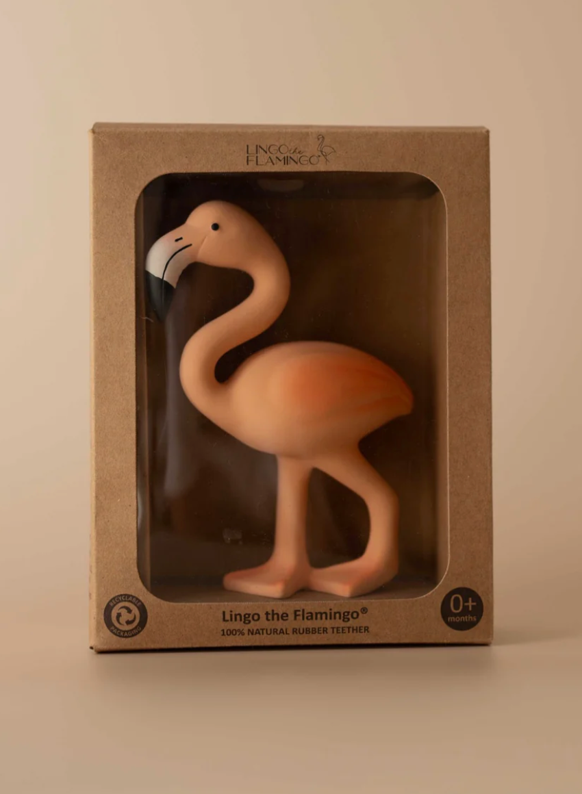 Lingo the Flamingo