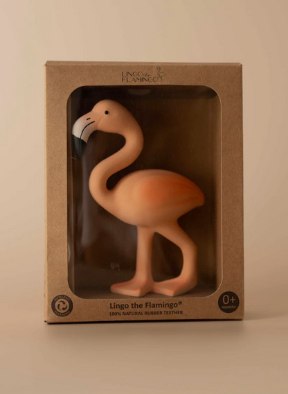 Lingo the Flamingo
