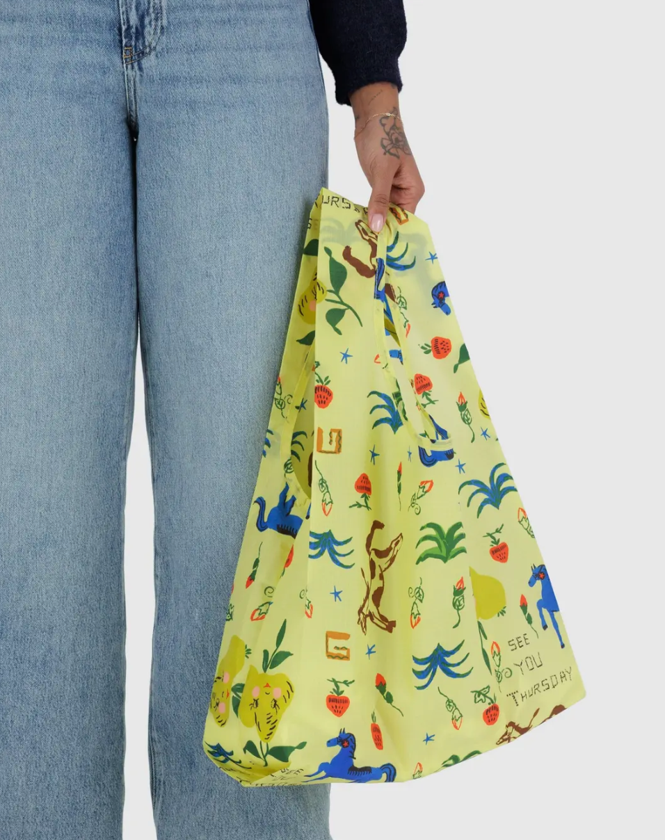 Standard Baggu | Painted prairie